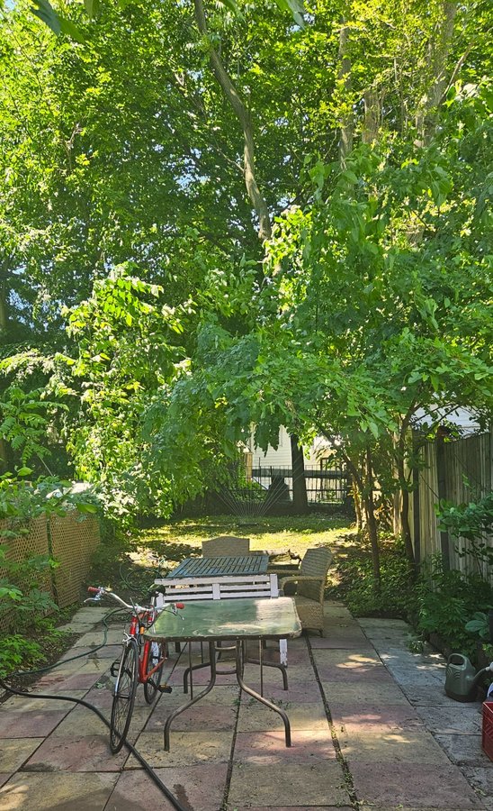 340 Coxwell Avenue - Photo 15