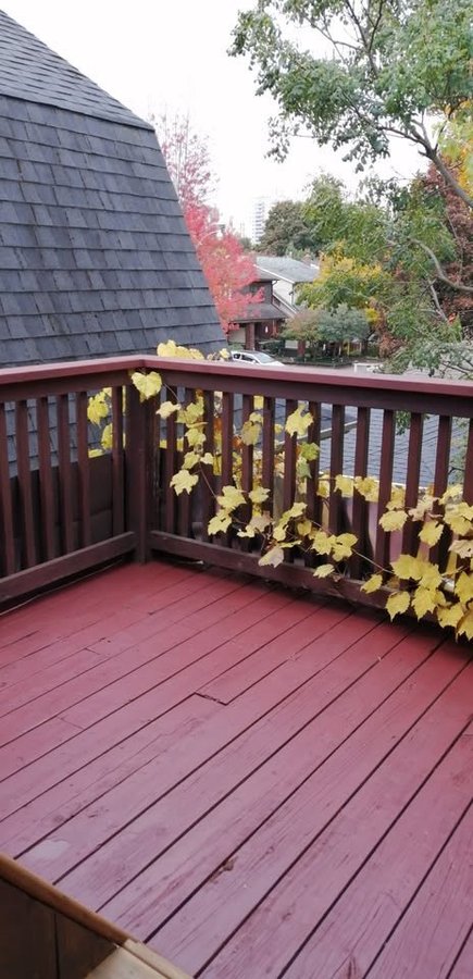 234 Keele Street - Photo 9