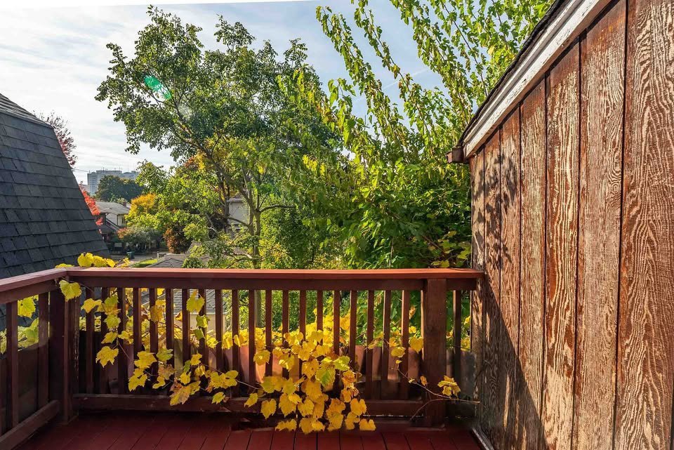234 Keele Street - Photo 10