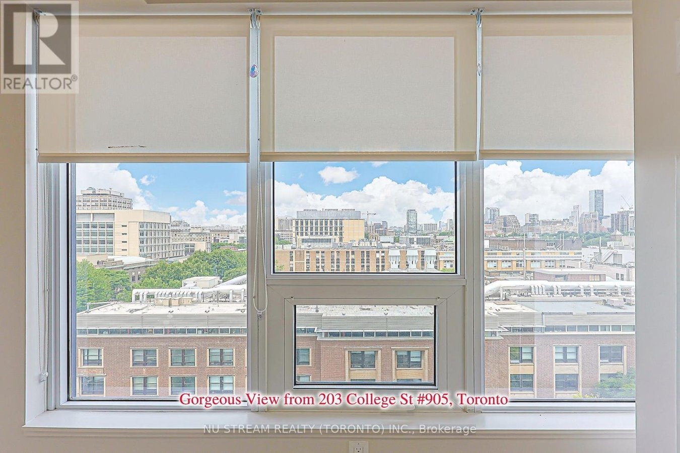 905 - 203 COLLEGE STREET - Photo 13