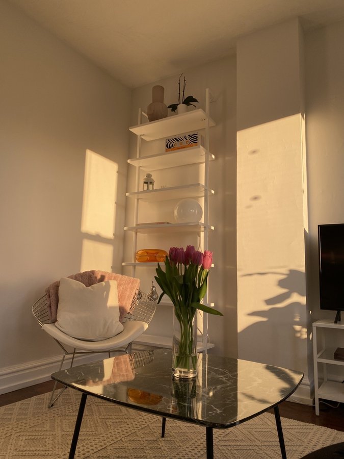 351 Dovercourt Road - Photo 16