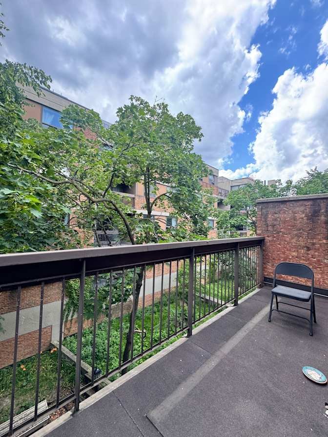 Mccaul Street - Photo 4