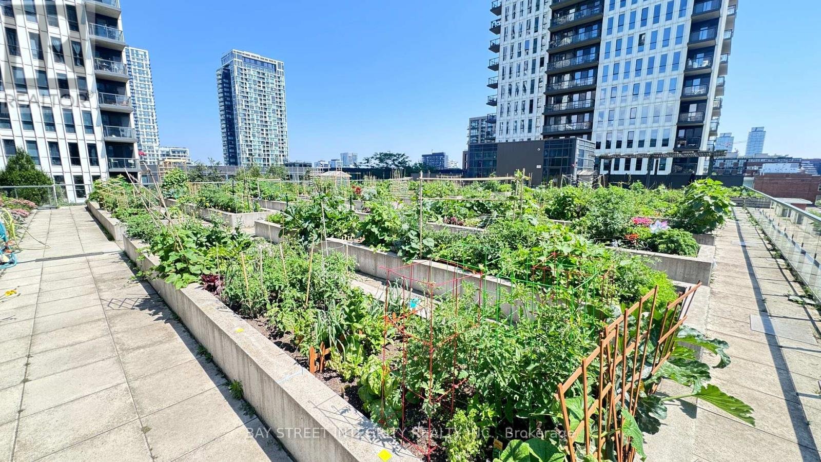 1713 - 55 REGENT PARK BOULEVARD - Photo 29