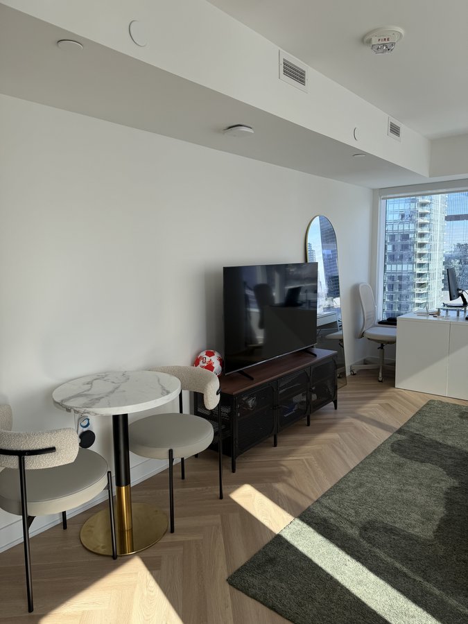 225 Adelaide Street West - Photo 4