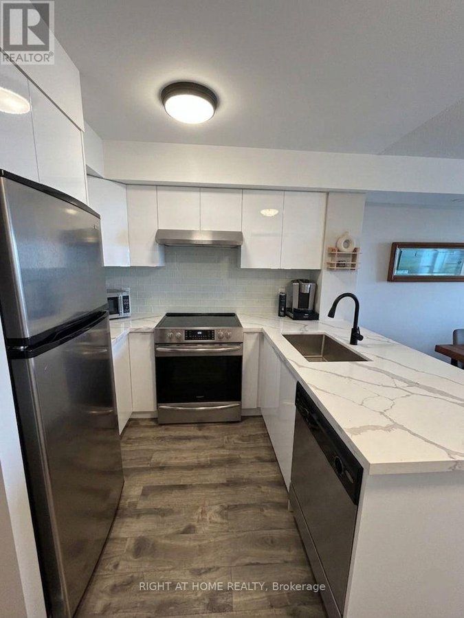 909 - 1060 SHEPPARD AVENUE W - Photo 9