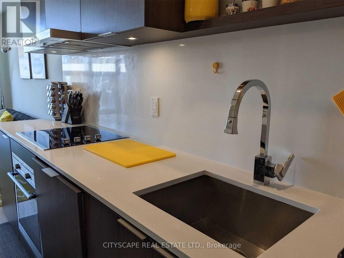 206 - 12 BONNYCASTLE STREET - Photo 8