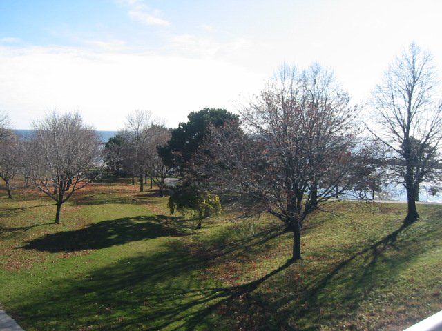 110 Jameson Ave - Photo 4