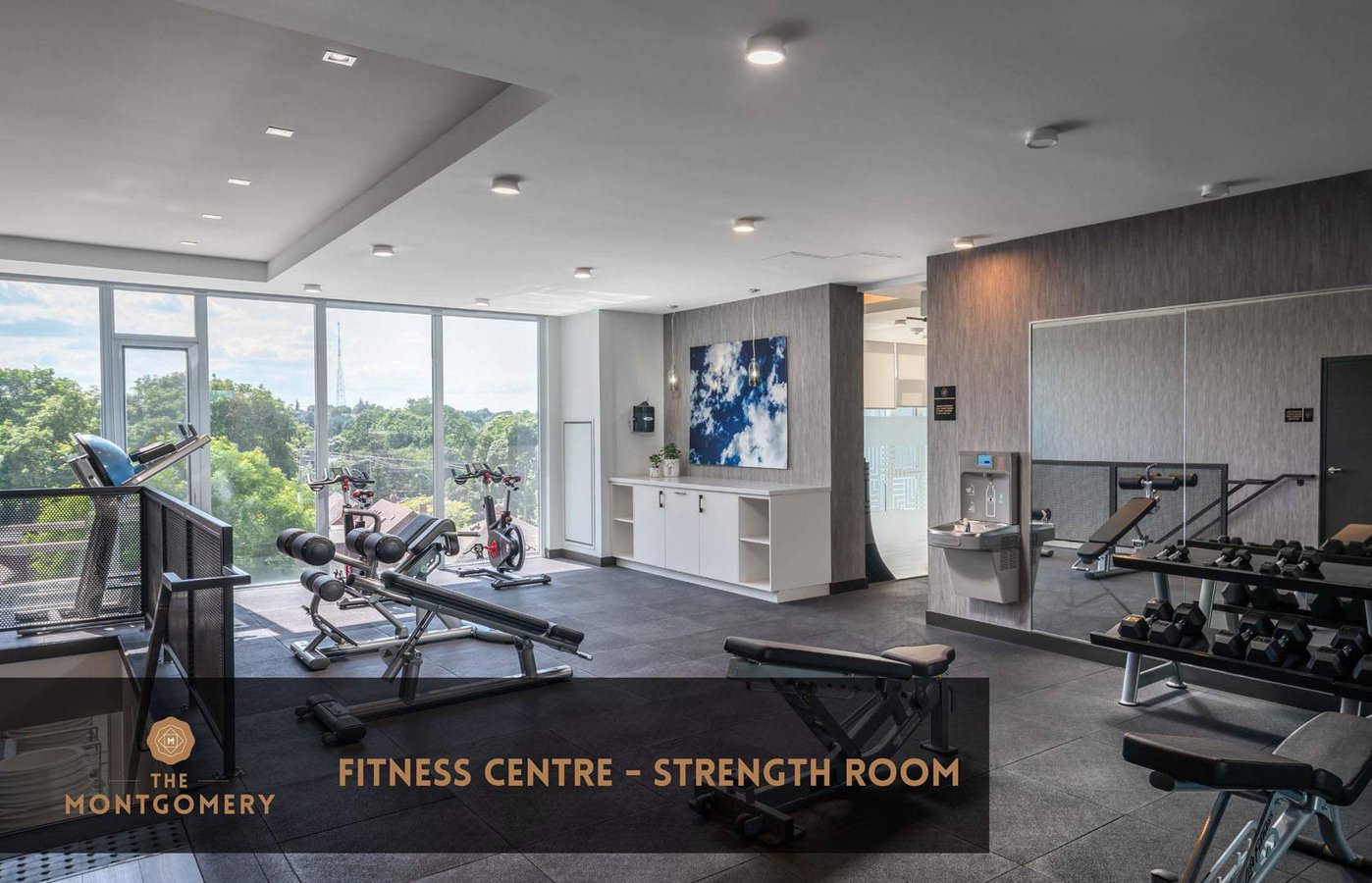 75 Minute Renting gym equipment for home use calgary for Workout Routine