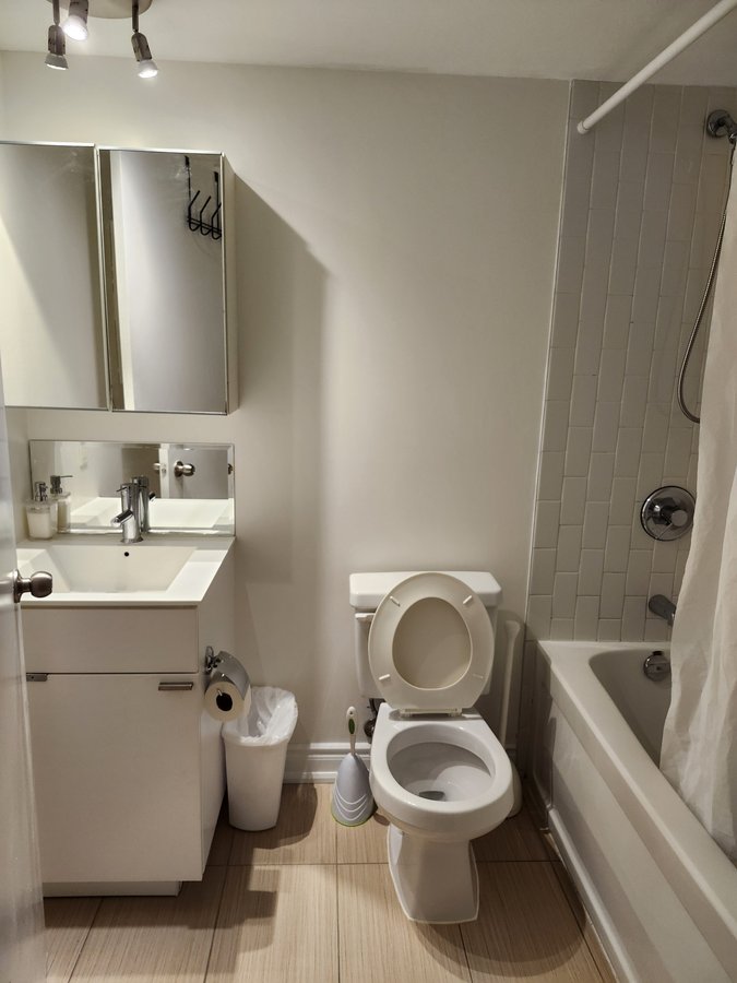 111 Elizabeth Street - Photo 9
