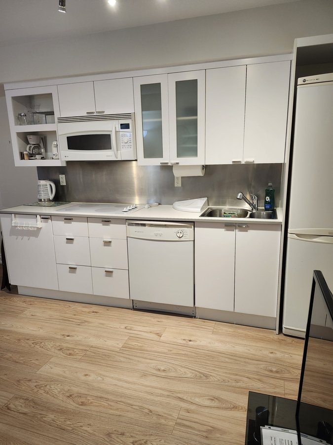 111 Elizabeth Street - Photo 14