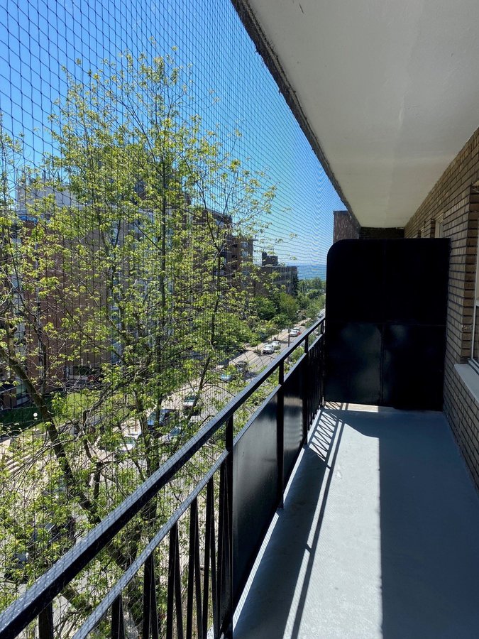 Jameson Avenue - Photo 5