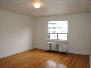 70 Gloucester Street - Photo 8