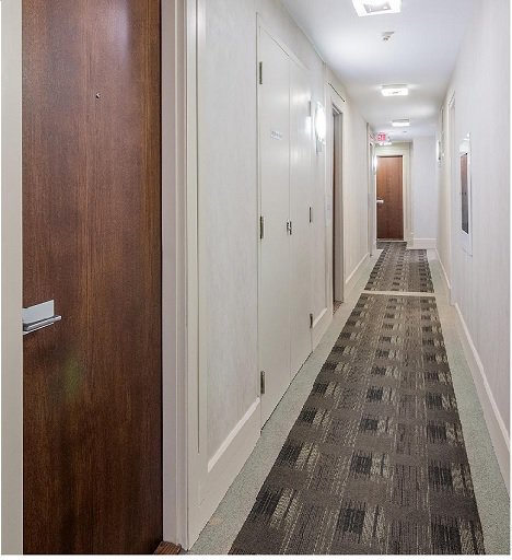111 Elizabeth Street - Photo 6