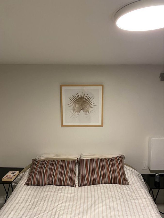 80 Rushbrooke Avenue - Photo 20