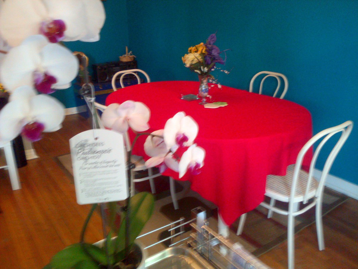 224 Victor Avenue - Photo 8