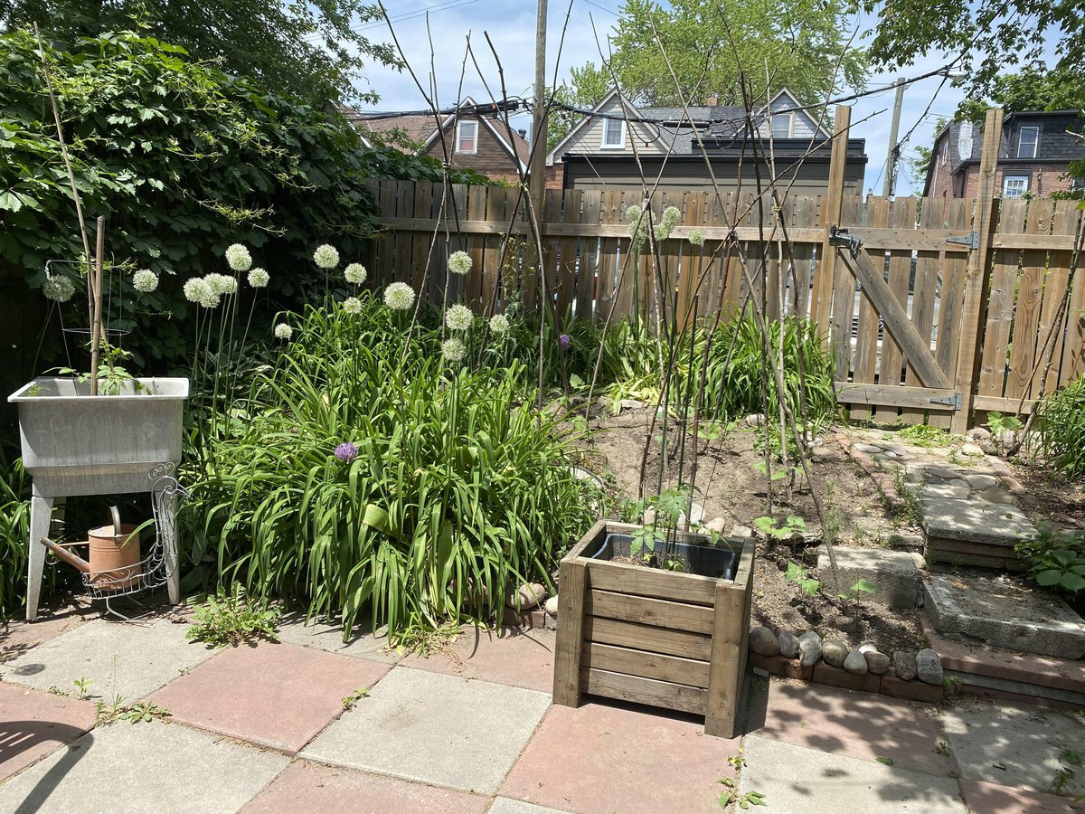 224 Victor Avenue - Photo 24