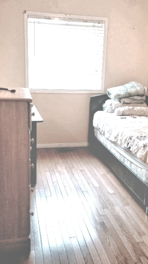 Wychwood Toronto ON Rooms for Rent