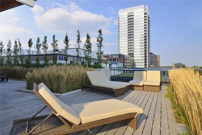 225 Sackville Street - Photo 11
