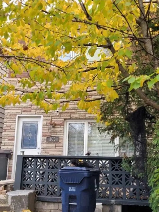 Rentals.ca Dovercourt Park Toronto Apartments, Condos and Houses For Rent