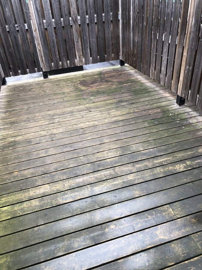 378 College Street - Photo 16