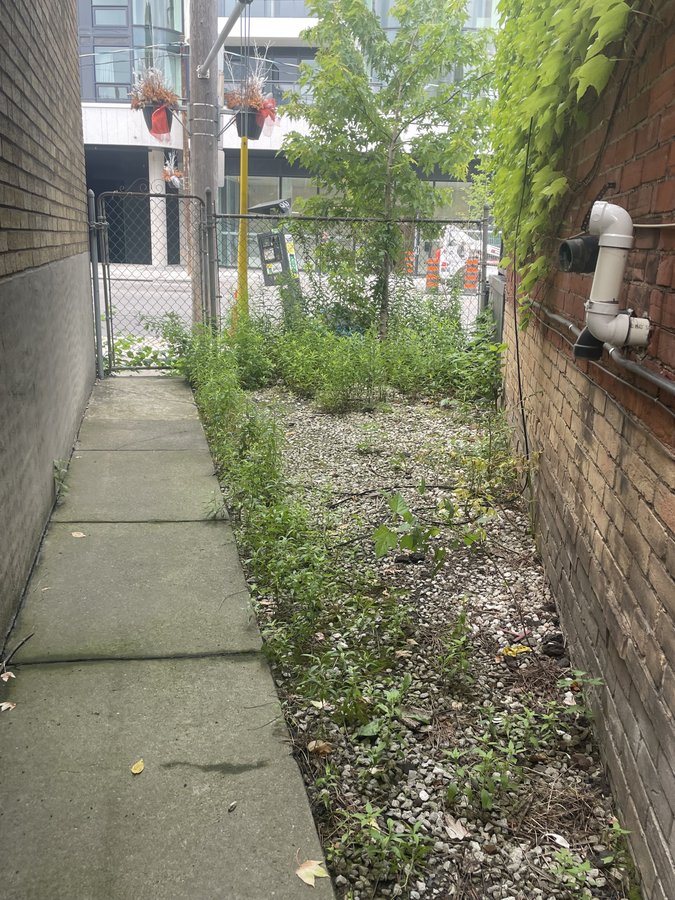 305 Dupont Street - Photo 10