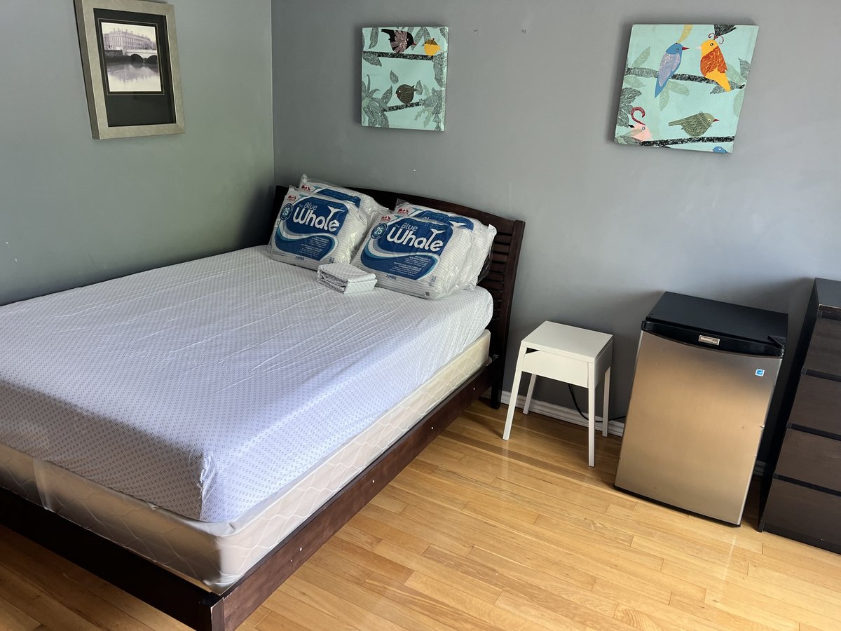 239 Pickering Street - Photo 2