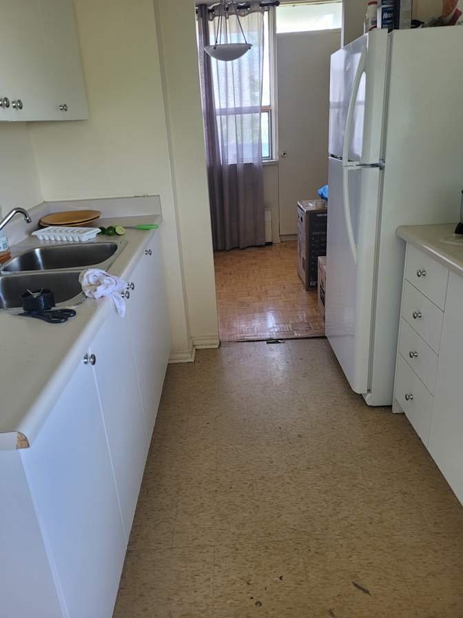Niska Road - Photo 1