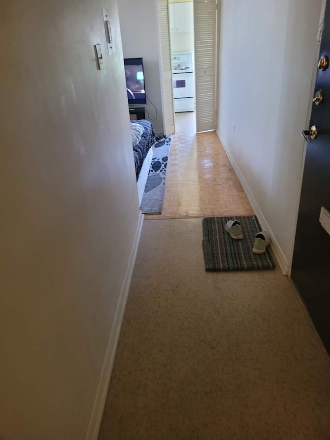 Niska Road - Photo 3