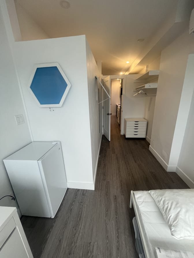 Bloor Street West - Photo 10