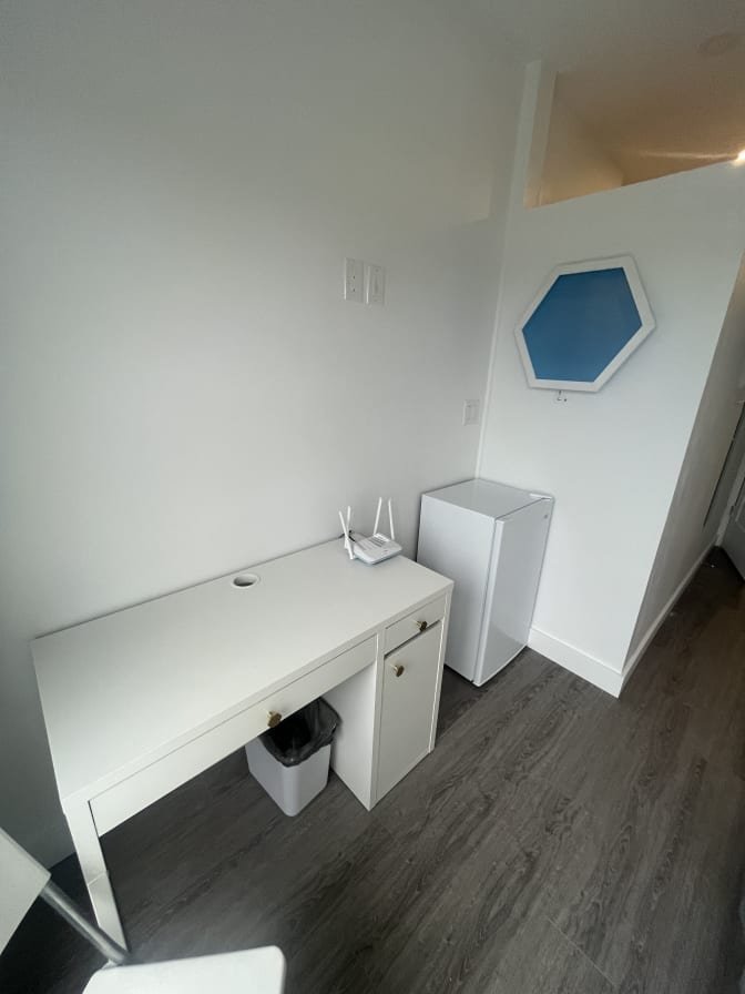 Bloor Street West - Photo 14