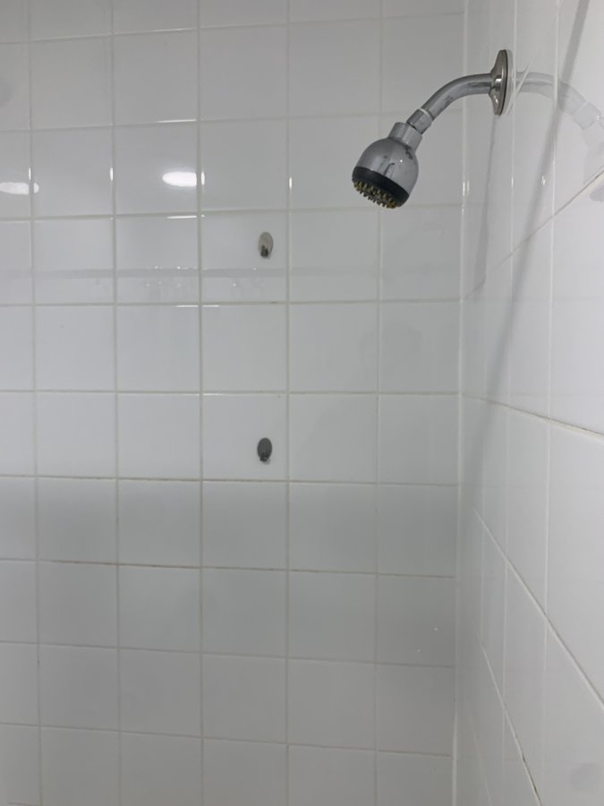 203 Spadina Road - Photo 10