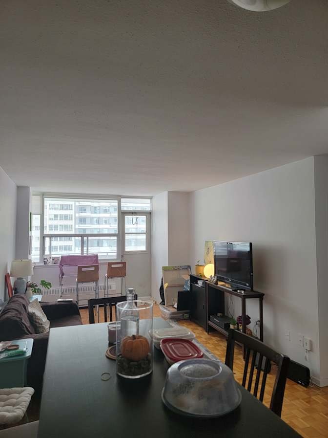 Dunfield Avenue - Photo 5