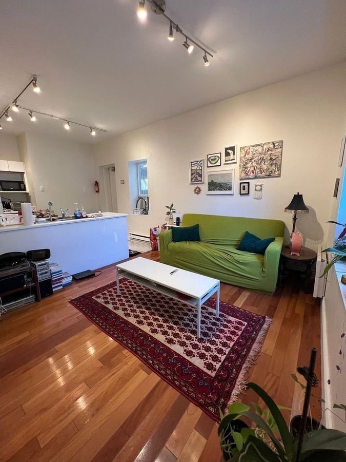 294 Clinton Street - Photo 1