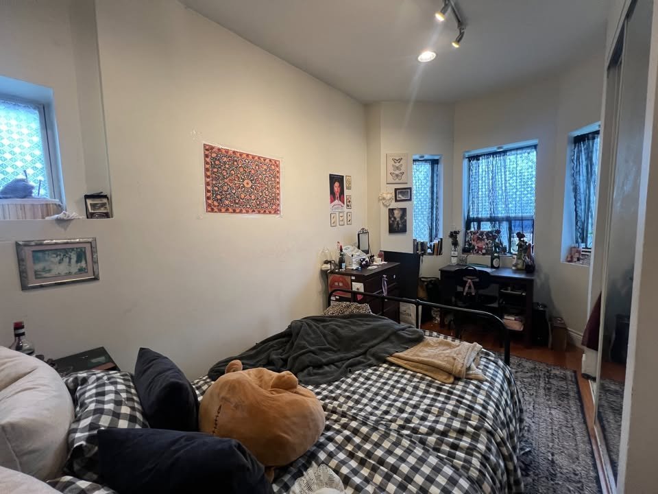 294 Clinton Street - Photo 8