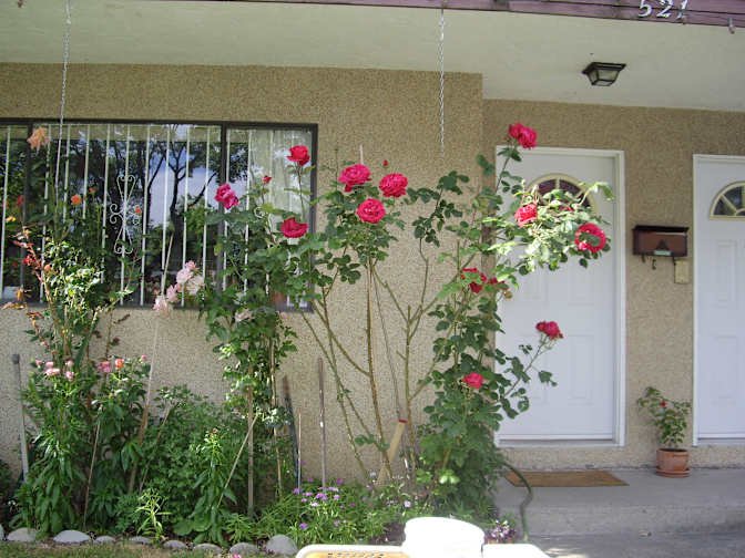 East 13th Avenue - Photo 4