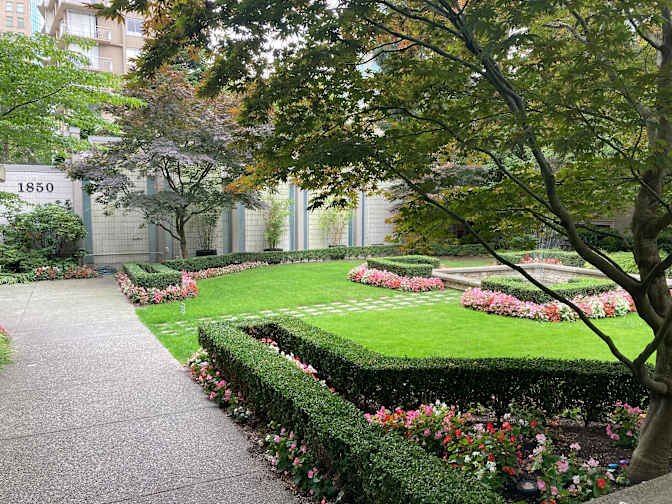 Comox Street - Photo 12