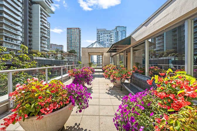 Robson Street - Photo 12