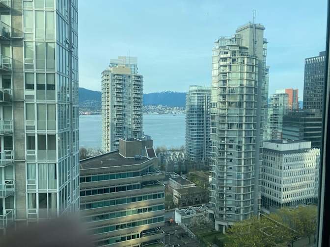 Melville Street - Photo 10