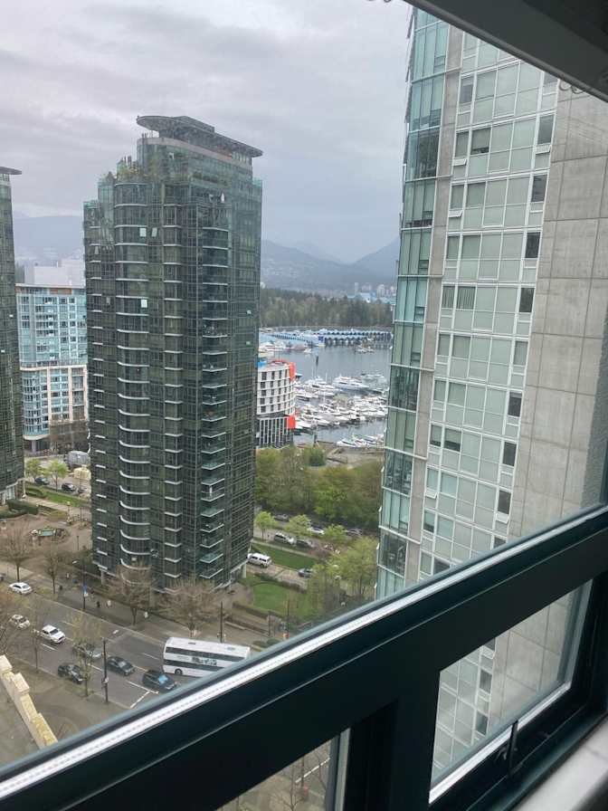 Melville Street - Photo 11