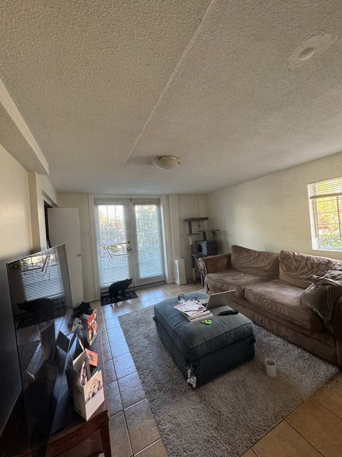 Woodland Drive - Photo 4