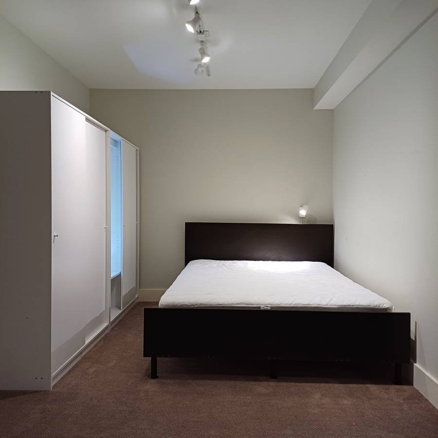 2257 Kings Avenue - Photo 5