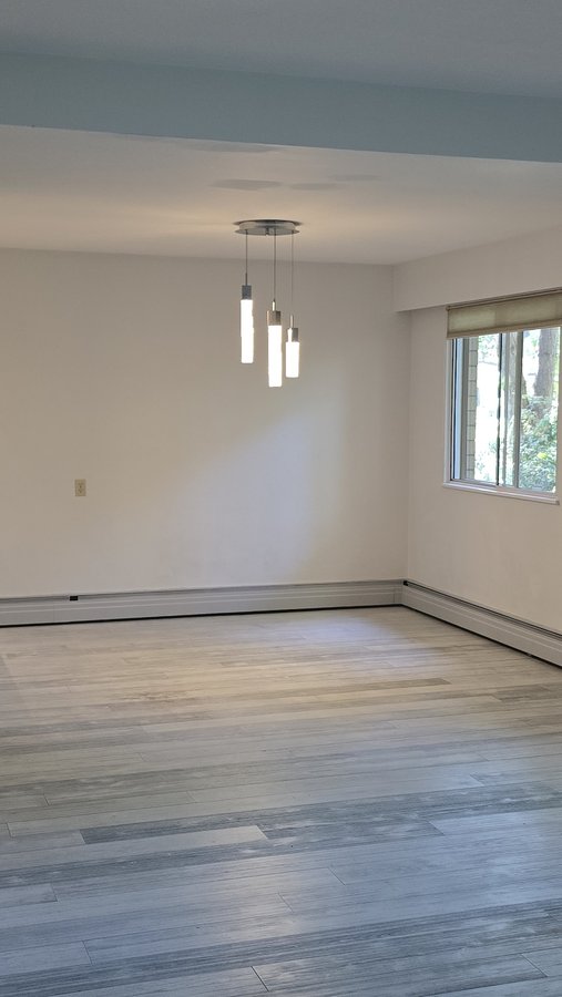 5585 Oak Street - Photo 6