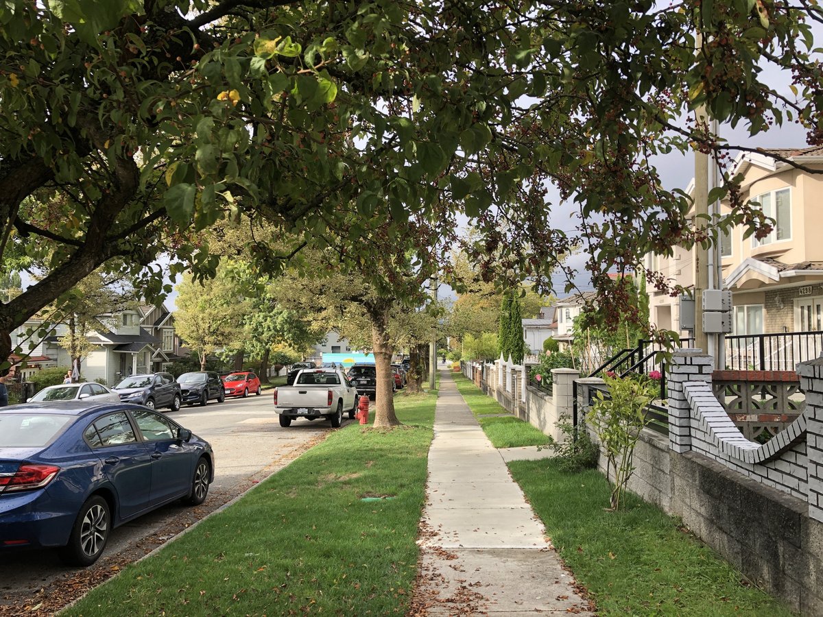 4316 Beatrice Street - Photo 12