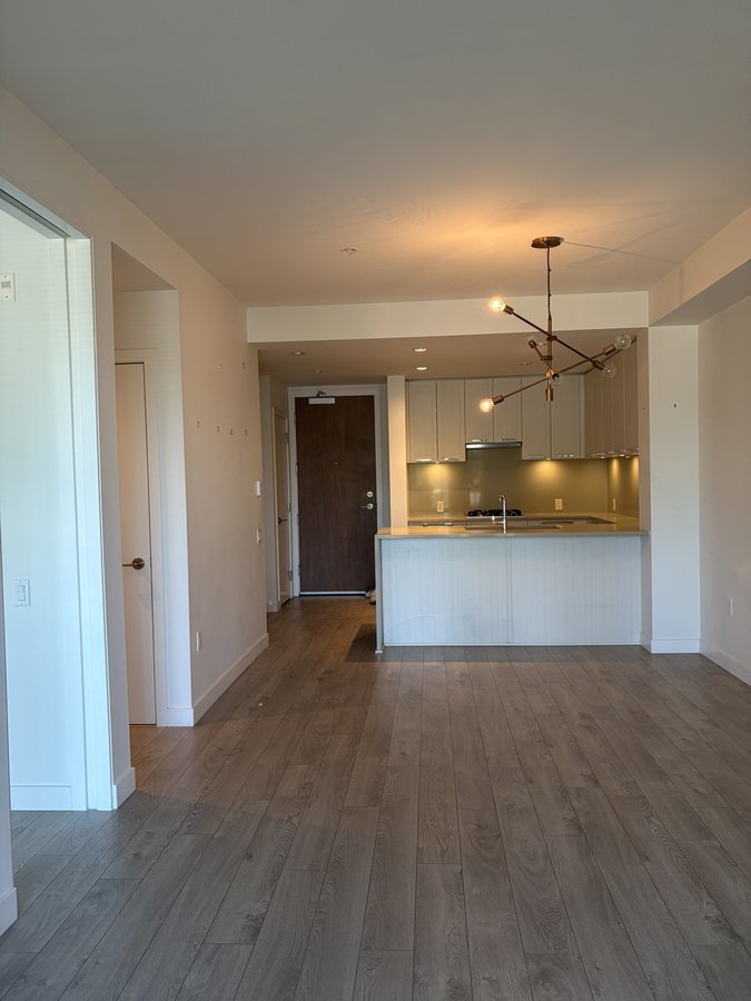 6677 Cambie Street - Photo 10