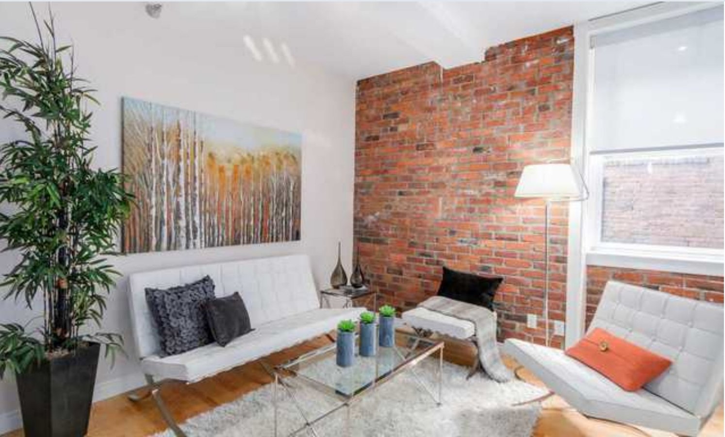233 Abbott Street - Photo 2