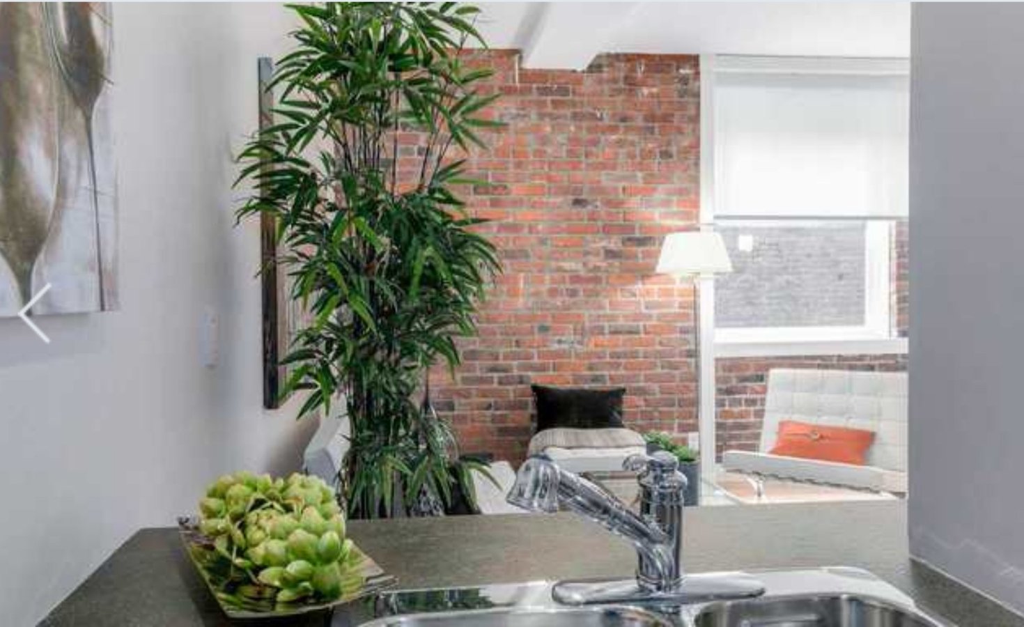 233 Abbott Street - Photo 3