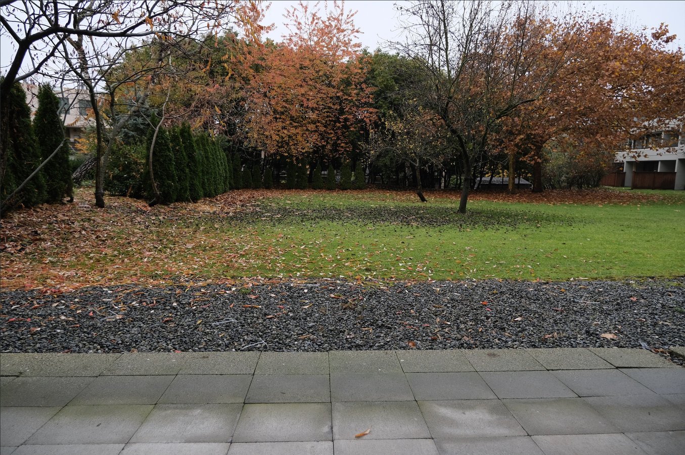 655 Moberly Road - Photo 10