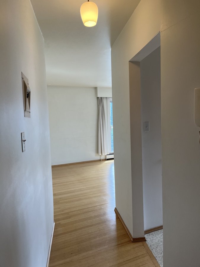 1825 Haro Street - Photo 10