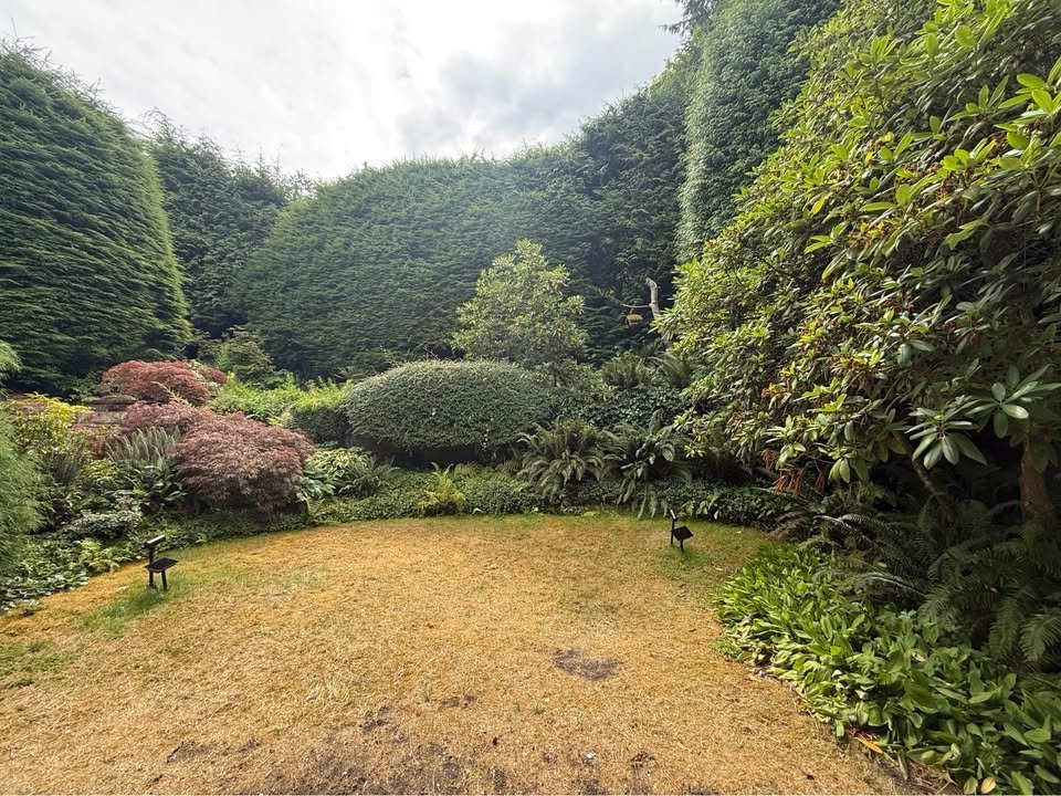 810 Burley Drive - Photo 2