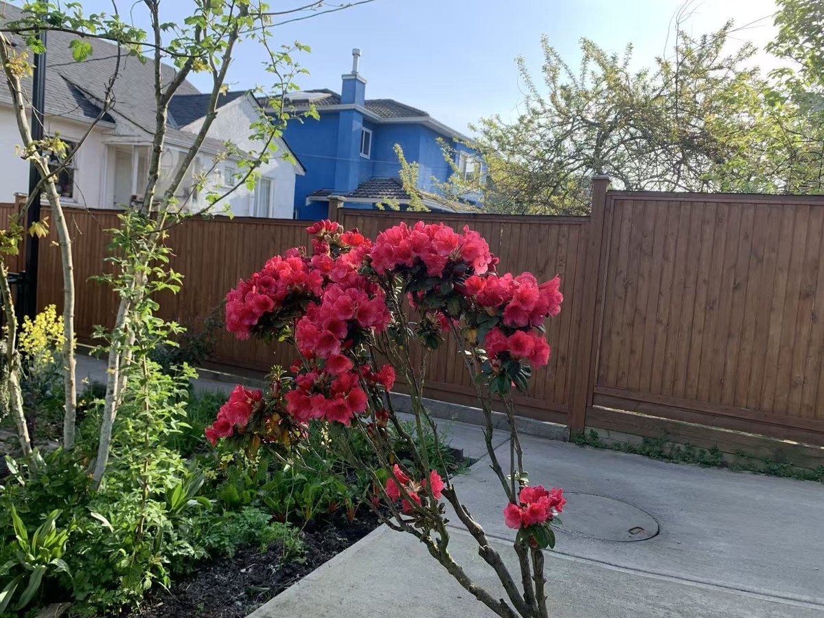 2148 East 28th Avenue - Photo 1